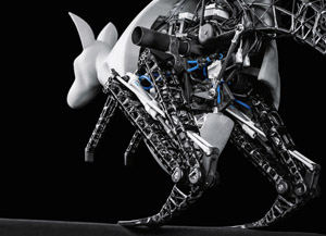 BionicKangaroo Details00354 13x18 rgb
