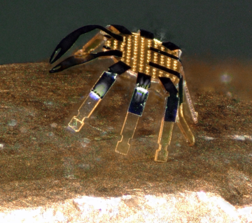 Engineering researchers create smallest remote-controlled walking robot